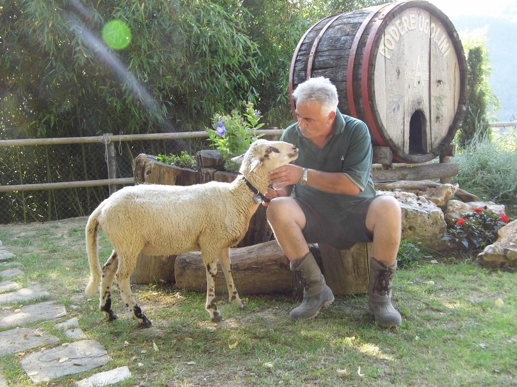 Ronta Casa Vacanze Podere Ugolini מראה חיצוני תמונה