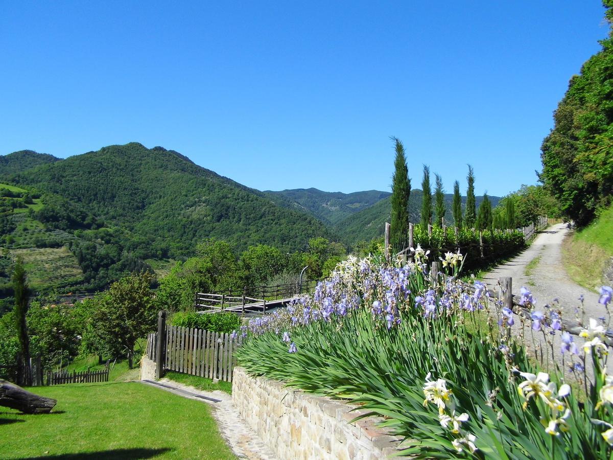 Ronta Casa Vacanze Podere Ugolini מראה חיצוני תמונה