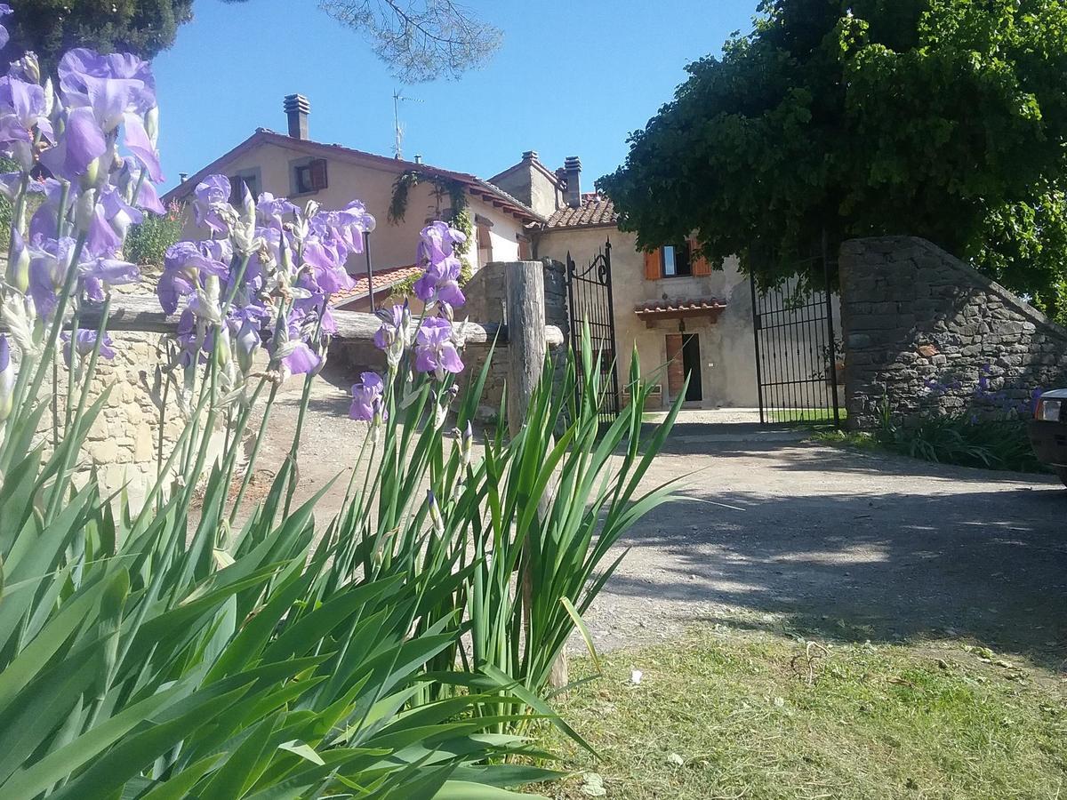 Ronta Casa Vacanze Podere Ugolini מראה חיצוני תמונה